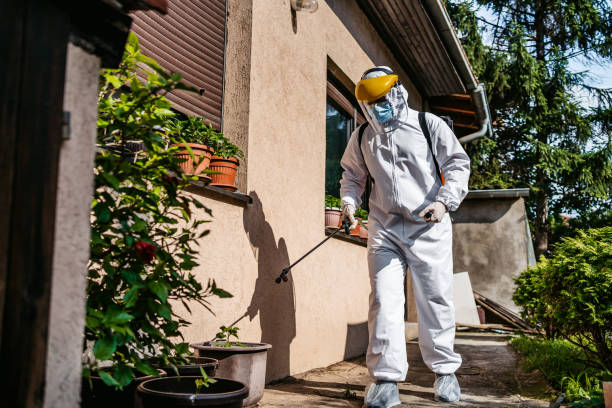 Best Pest Control for Homes  in Lake Holiday, IN