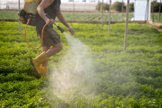 Best Local Pest Control Services  in Lake Holiday, IN